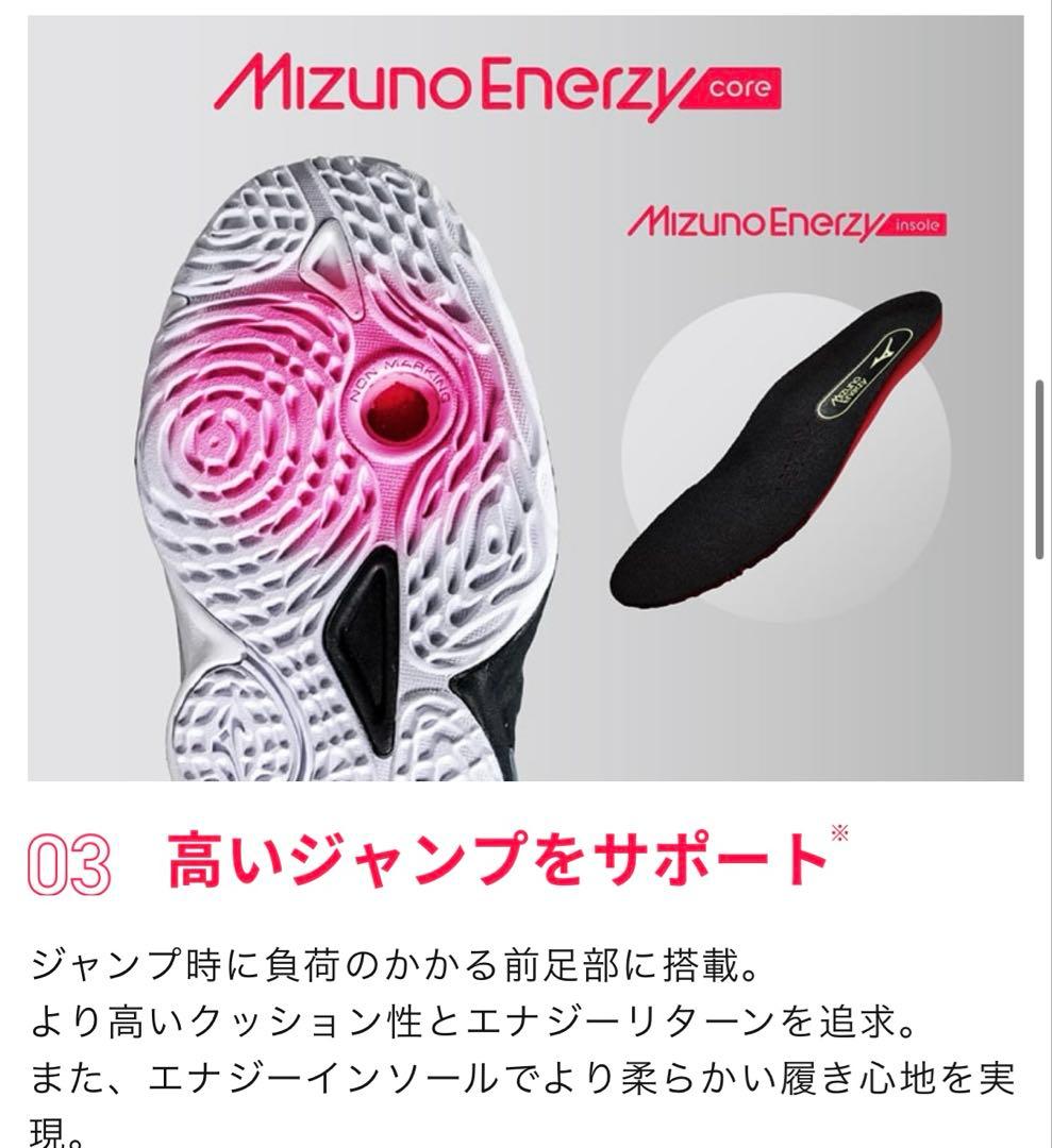 専用◯MIZUNO バレーボールシューズ ウエーブモーメンタム３