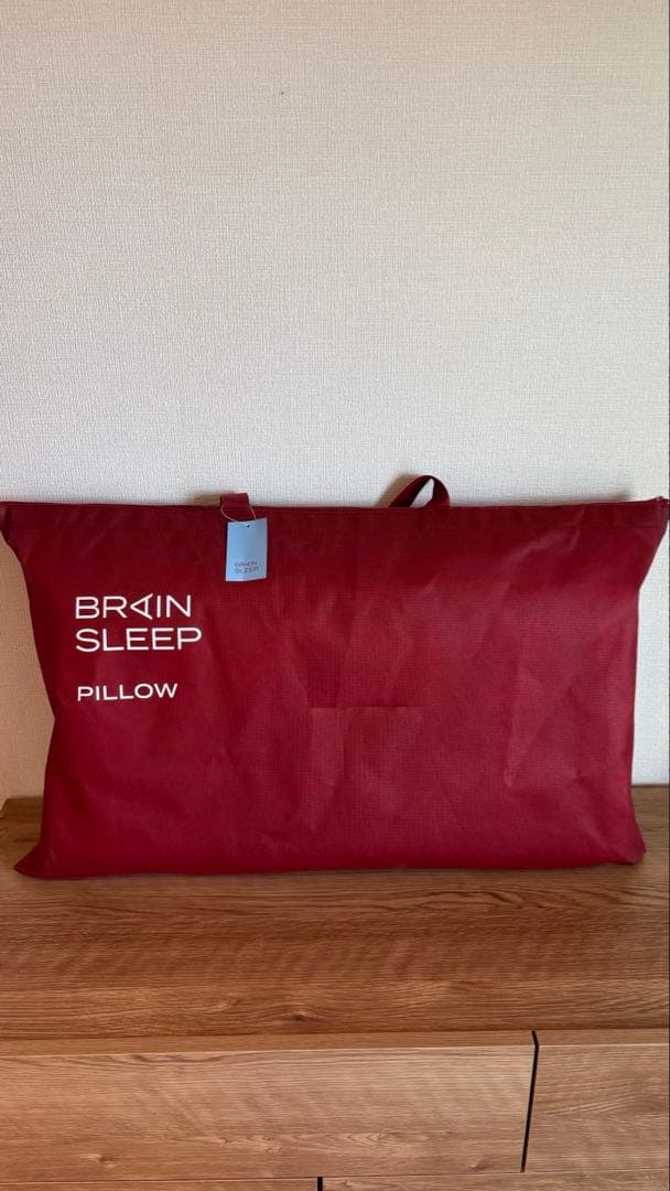 BRAIN SLEEPブレインスリープ ピロー STANDARD＋ピローカバー