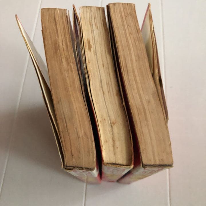 昭和45年初版 わんぱくター坊1〜3巻 ムロタニツネ象