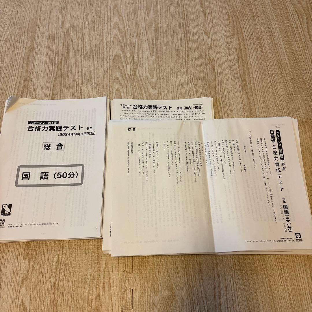 日能研　2024年　6年生　合格力実践テスト　合格力育成テスト　後期12回分