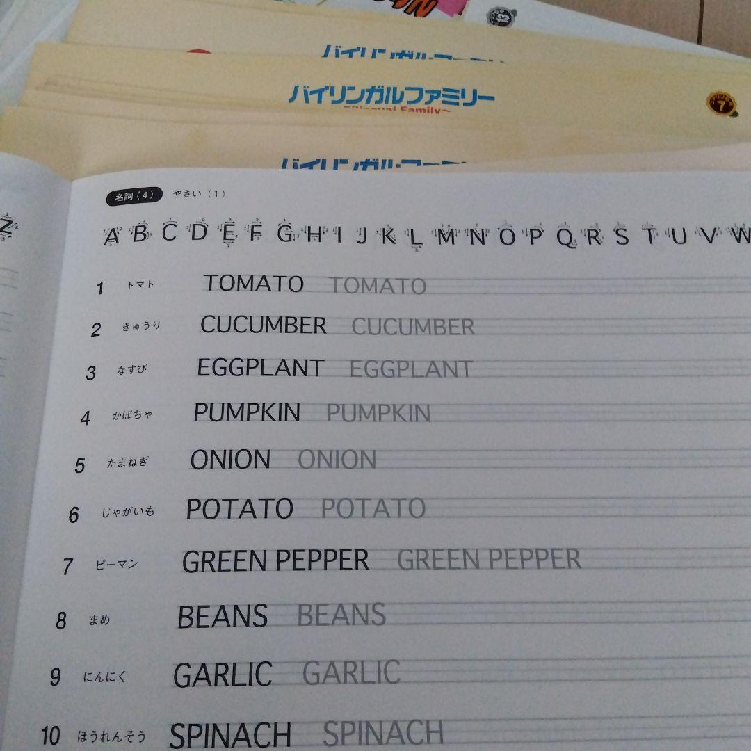 家庭保育園　種まきイングリッシュ　フラッシュカード