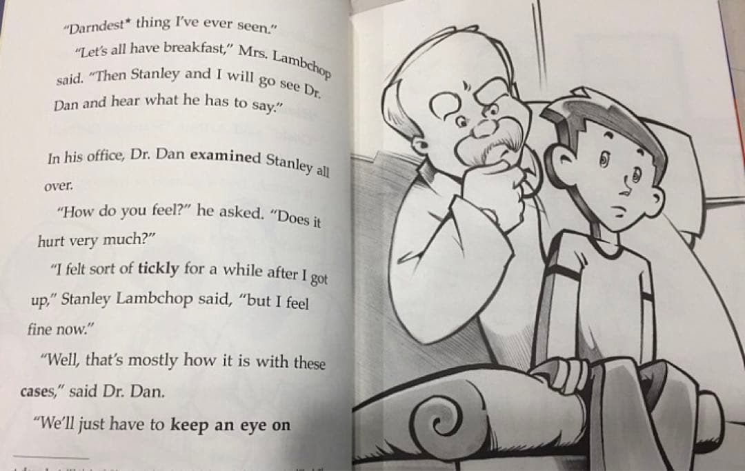 Flat Stanley コレクション チャプターブック 12冊