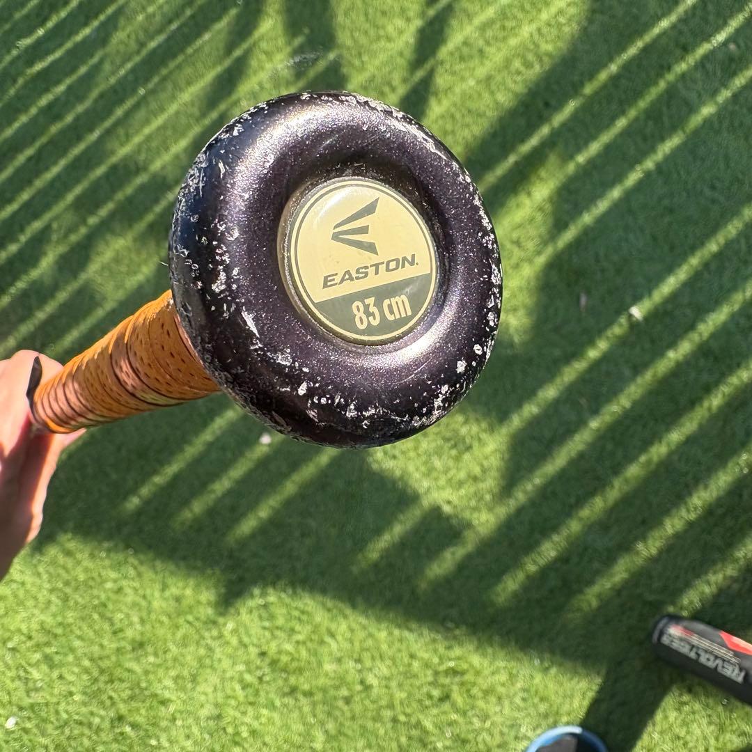 三津和タイガーレボルタイガー　イオタ& イーストン EASTON XL2 CXN