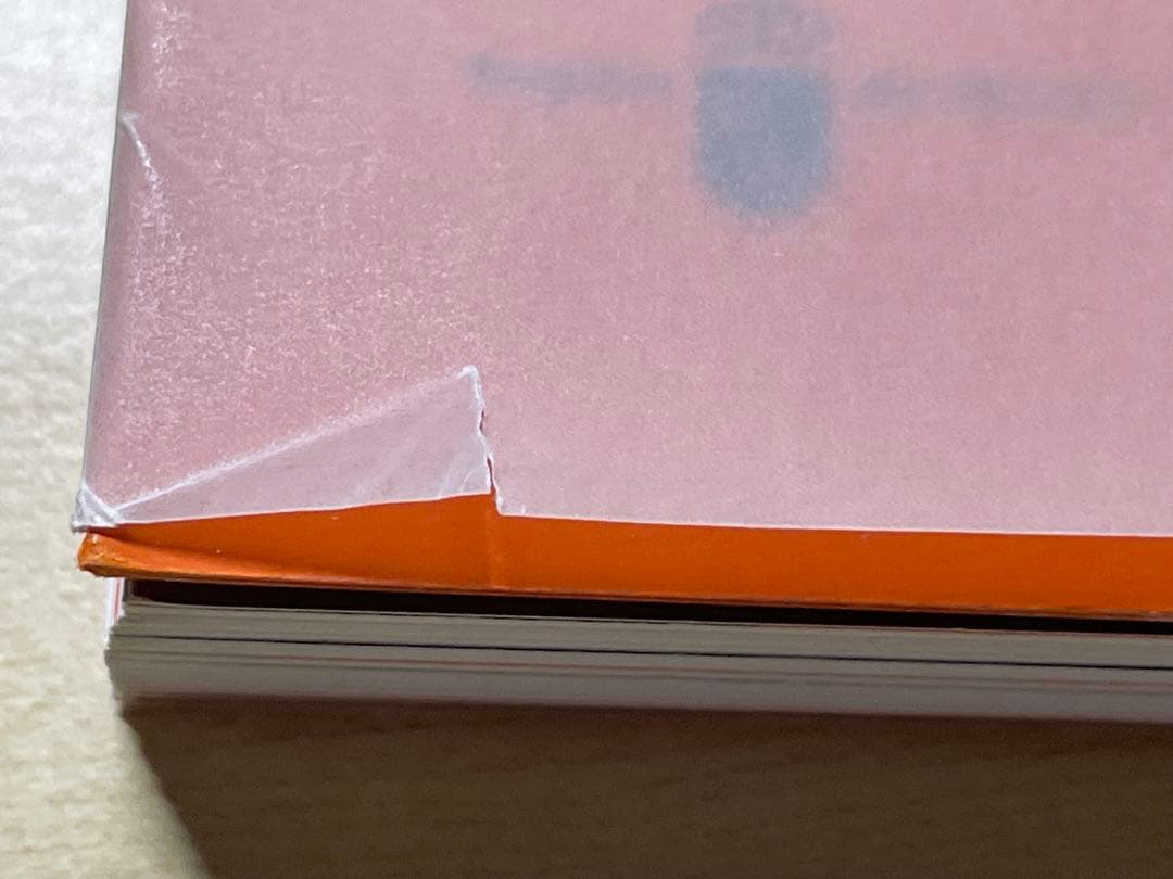 アート・デザイン・音楽 FRANCESCA WOODMAN RETROSPECTIVA