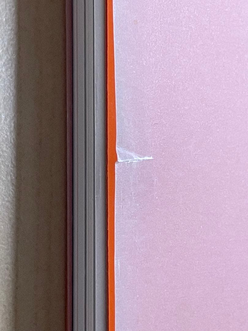 アート・デザイン・音楽 FRANCESCA WOODMAN RETROSPECTIVA