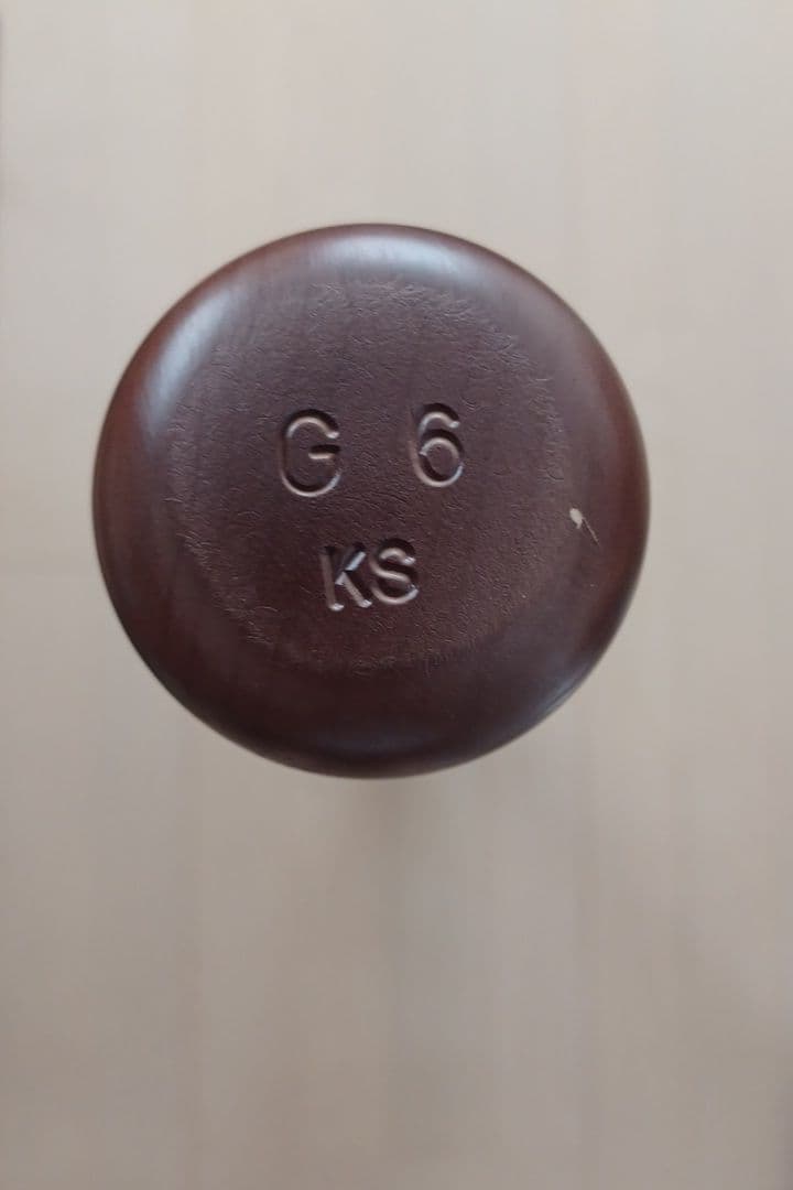 【超希少】読売ジャイアンツ坂本勇人選手250HR達成記念オーセンティックバット