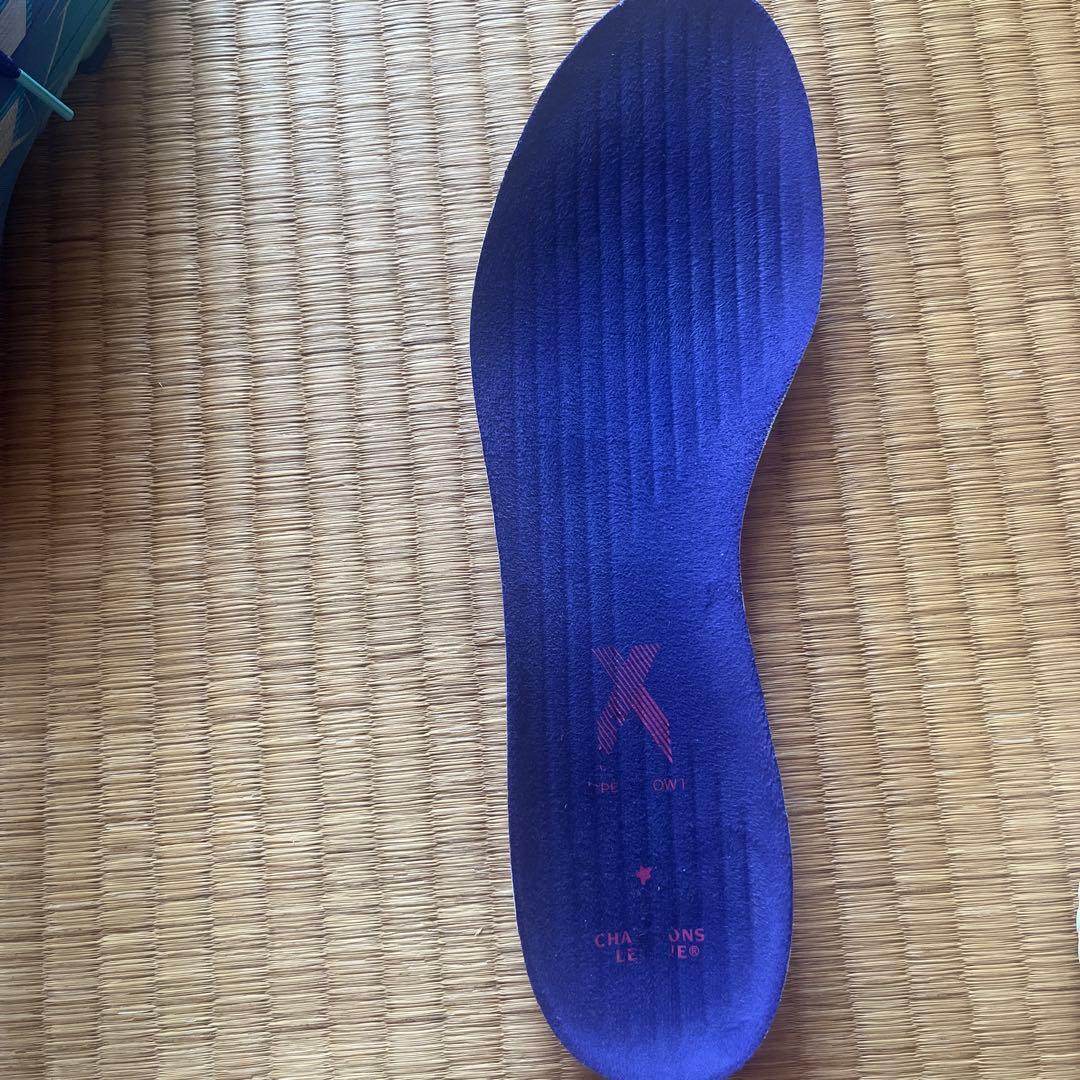 大幅値下げ❇希少品✨ エックス スピードフローfg clモデル 28.5cm