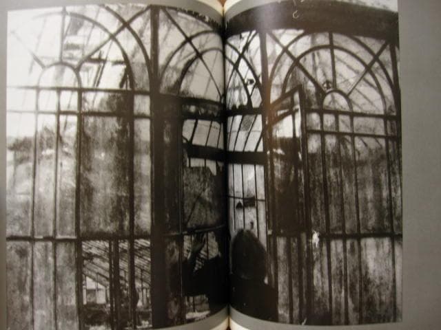 Wallflower　Deborah Turbeville　デボラ・ターバヴィル
