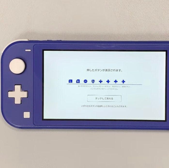 Nintendo Switch Lite 本体 動作品