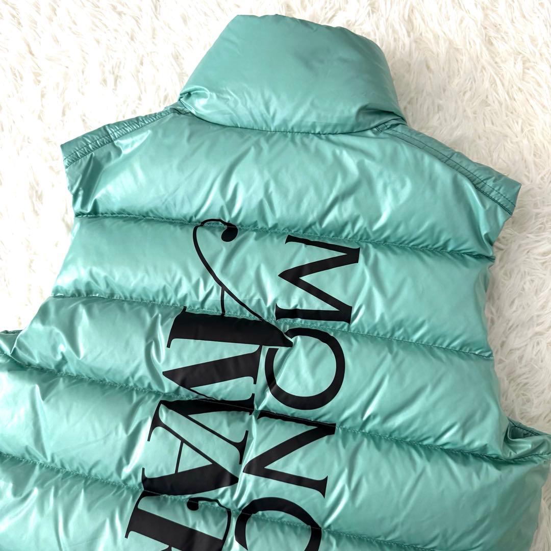 新品 タグ付き モンクレール x AWAKE ダウンベスト GENIUS メンズ