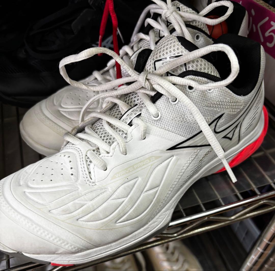 Mizuno ウエーブファング2 バドミントンシューズ 27.5cm