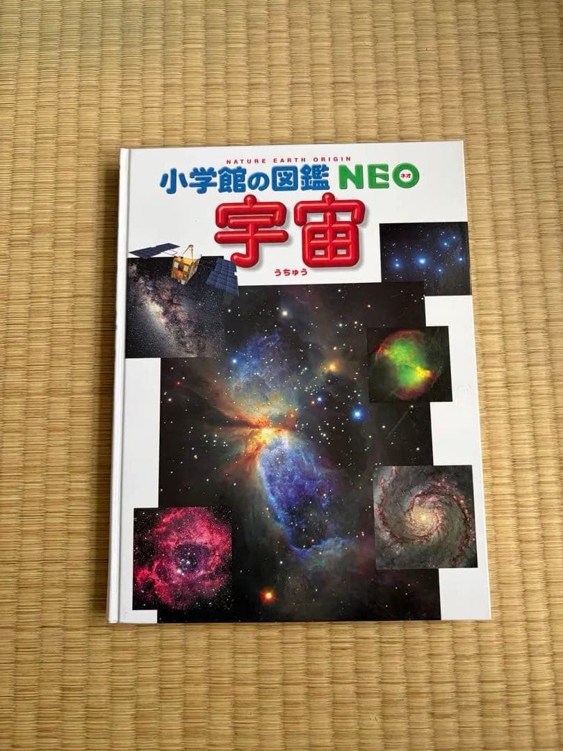 小学館の図鑑neo 12冊セット