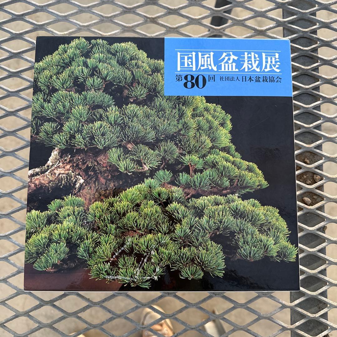 国風盆栽展　第80回〜第84回