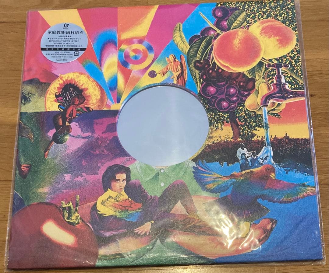 家庭教師 岡村靖幸 アナログ レコード