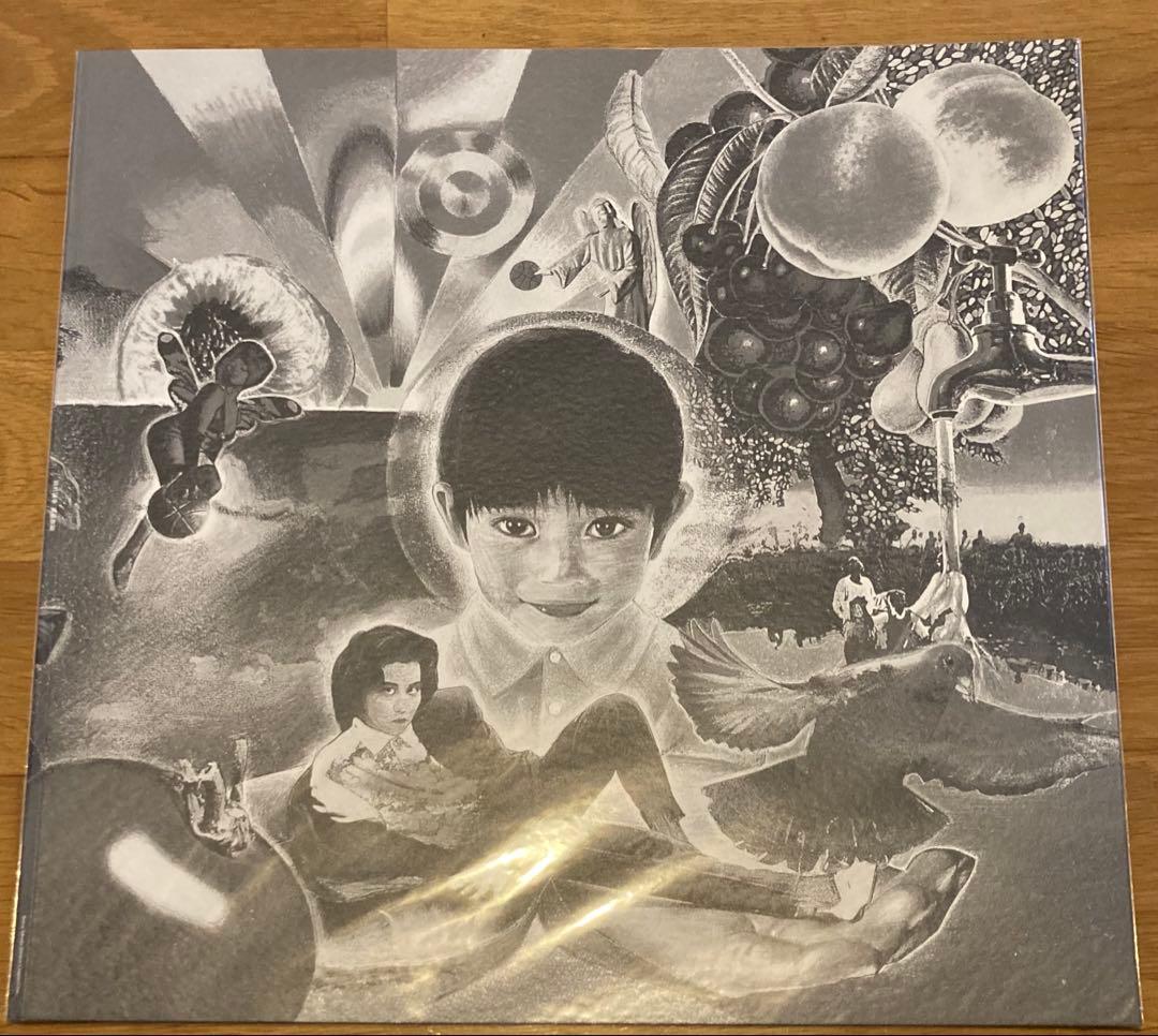 家庭教師 岡村靖幸 アナログ レコード