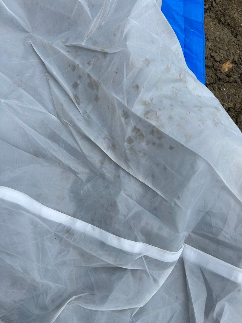 フィールドア ワンポールテント 500 ダークブラウン