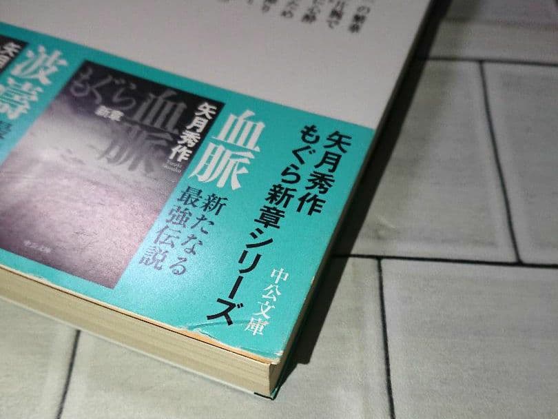 【まとめ】矢月秀作「もぐら」全巻 +「リンクス」全巻 +「D1」２１冊セット