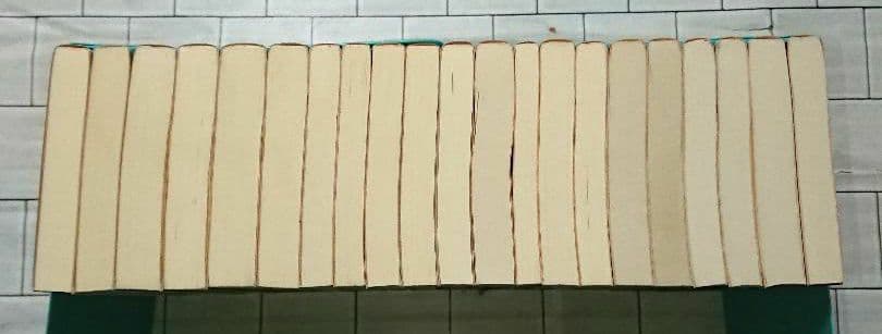 【まとめ】矢月秀作「もぐら」全巻 +「リンクス」全巻 +「D1」２１冊セット