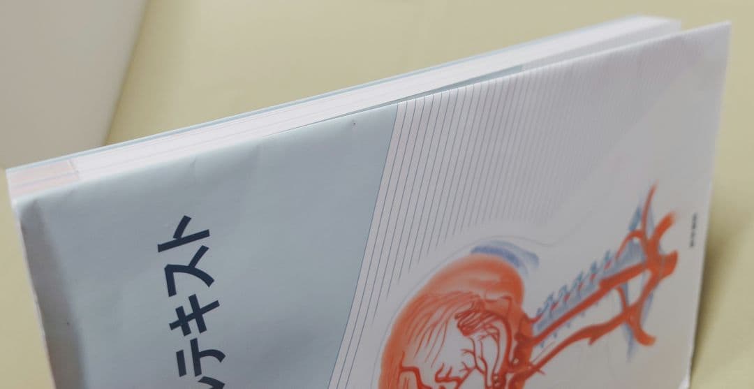 脳卒中ビジュアルテキスト