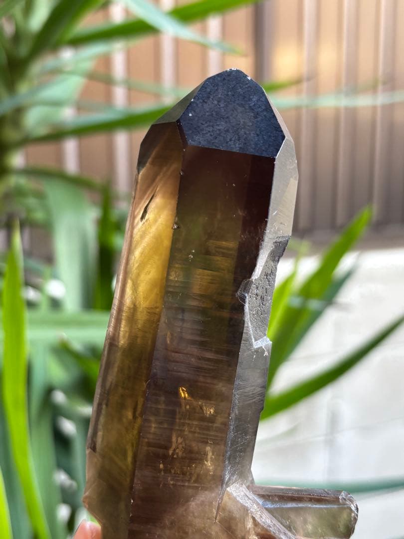 天然シトリン　クラスター　スモーキーシトリン　ゼウス　ファントム　391g.