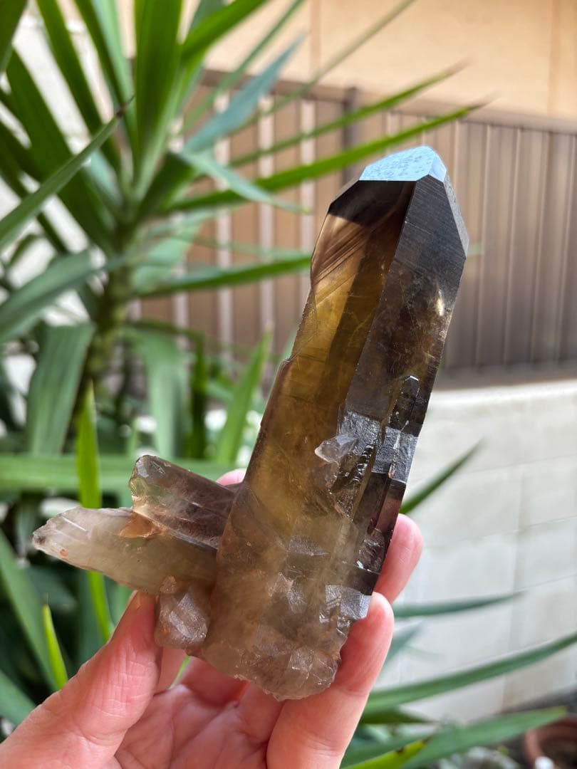 天然シトリン　クラスター　スモーキーシトリン　ゼウス　ファントム　391g.