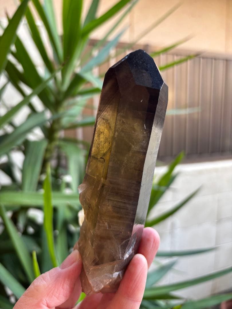 天然シトリン　クラスター　スモーキーシトリン　ゼウス　ファントム　391g.