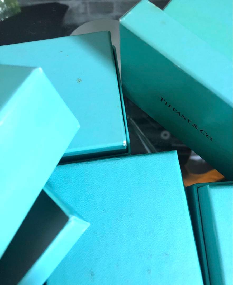ティファニー　アクセサリーケース　アクセサリー空箱22箱　巾着、保存袋18枚