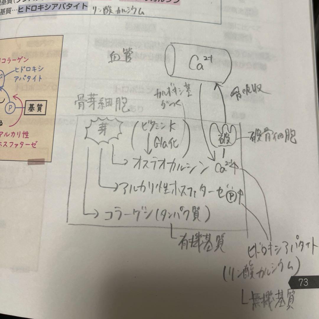 薬ゼミの要点集　9冊セット　薬学ゼミナール　改訂版　全9冊