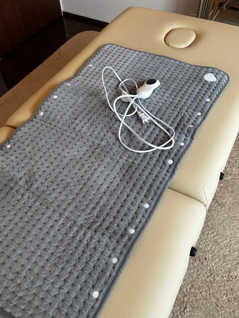 美品４点まとめ売り　施術ベッド、ベルベットシーツ、ベルベット枕、ホットカーペット