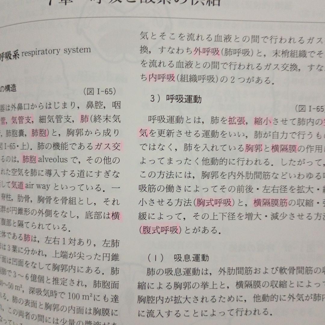 看護師 保健師 テキスト まとめ売 25冊 セット 国家試験 国試 クエスチョン