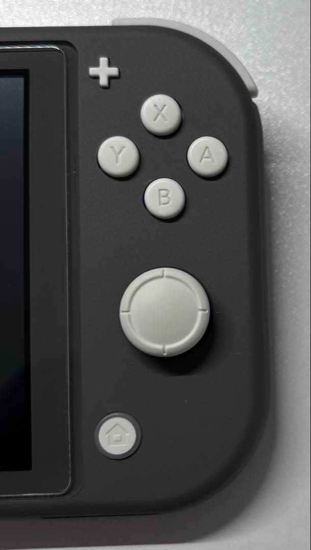 任天堂 SwitchLight グレー スイッチライト