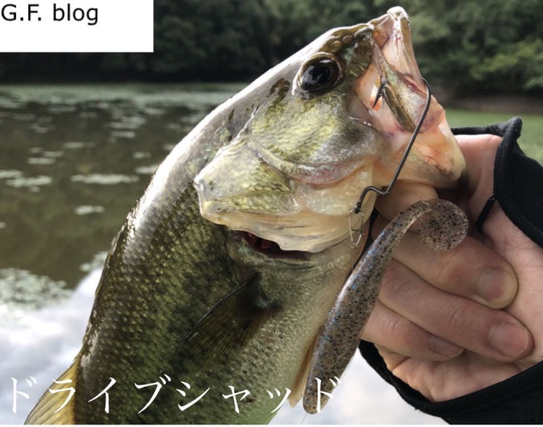 【バス釣り】ワーム Gary YAMAMOTO RAIDジャパン O.S.P