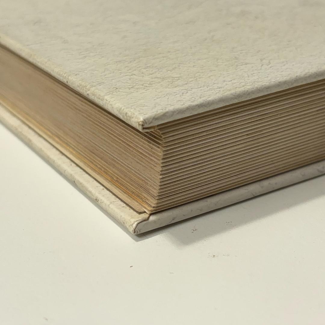 スケートボードアート写真集Disposable Skateboard Bible