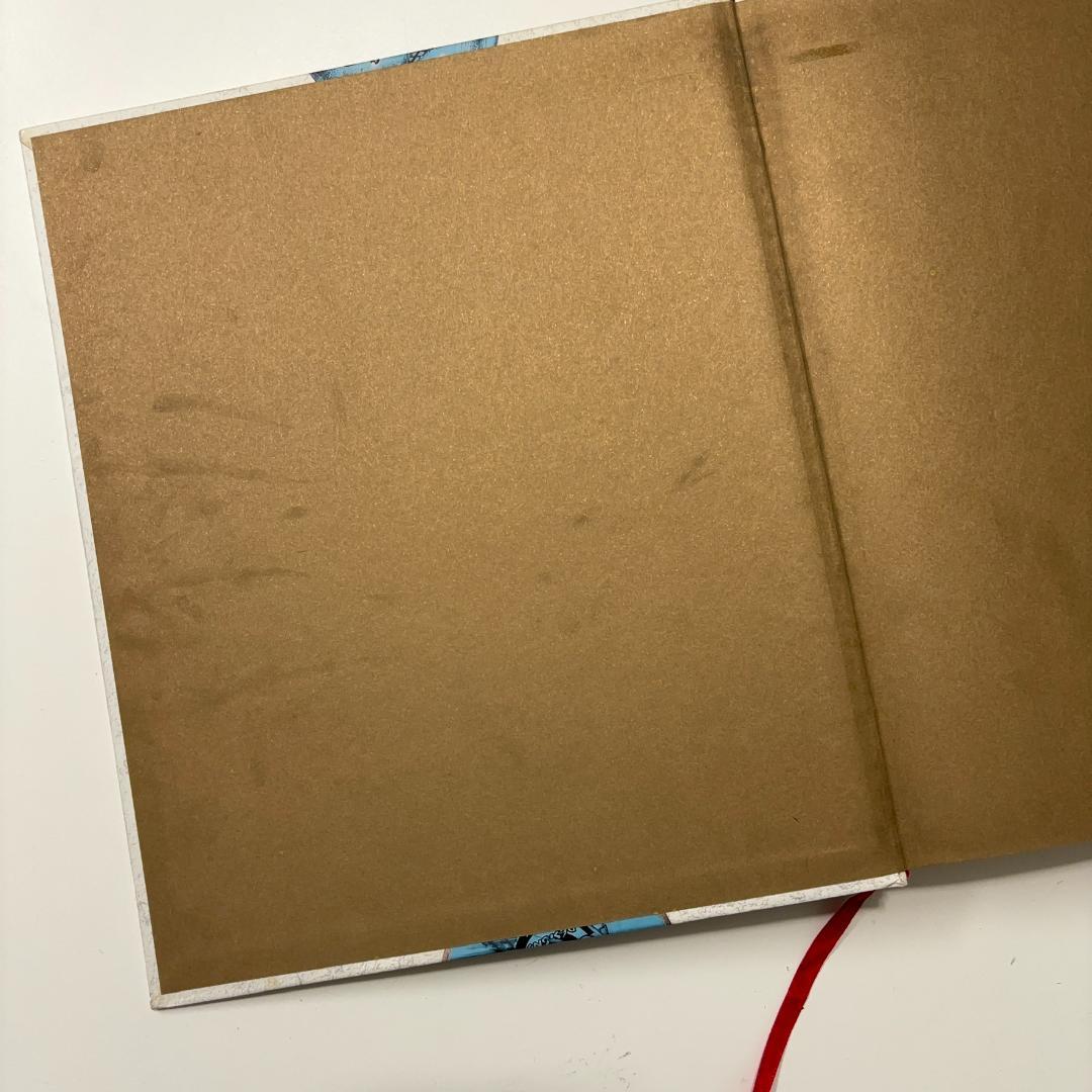 スケートボードアート写真集Disposable Skateboard Bible