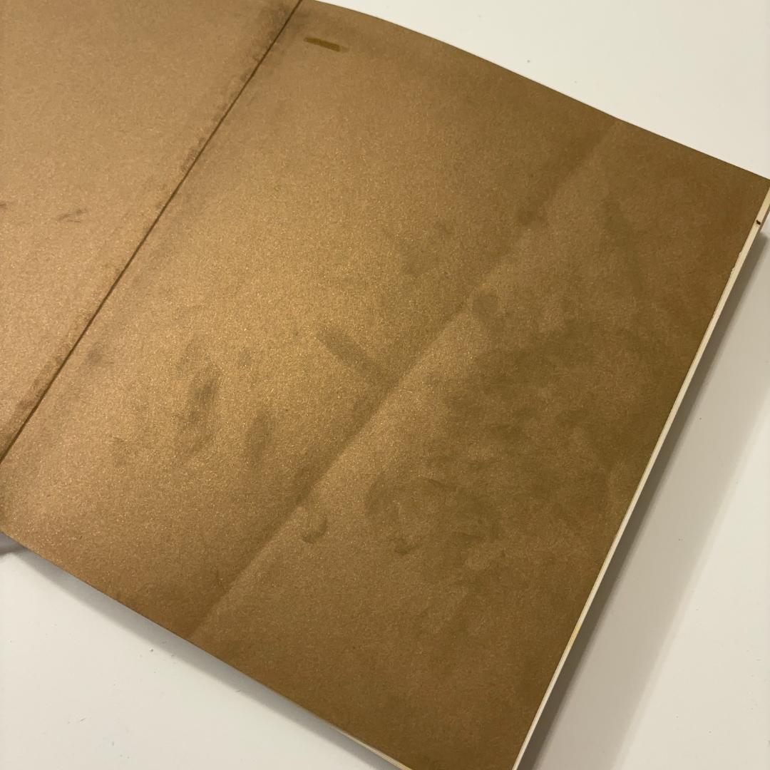 スケートボードアート写真集Disposable Skateboard Bible