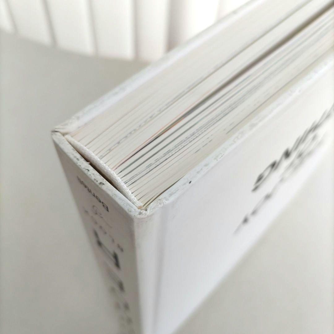 Da Vaz-WUNDERBLOCK/ダ・ヴァス 作品集 アート 画集