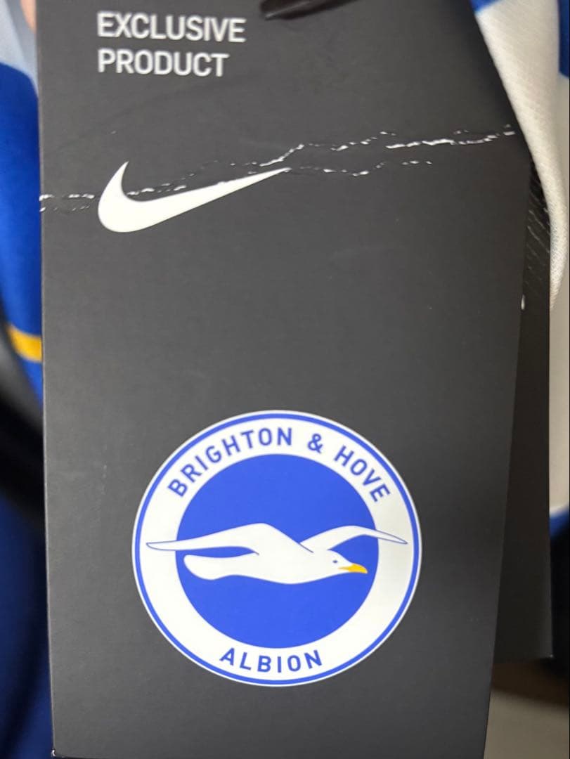 22-23 ブライトン 三笘薫