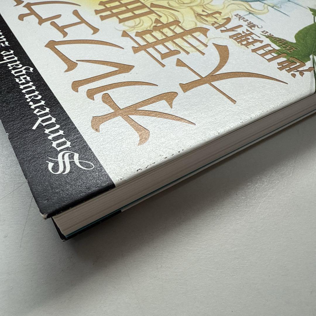 オルフェウスの窓 大事典 帯付き 初版 池田理代子