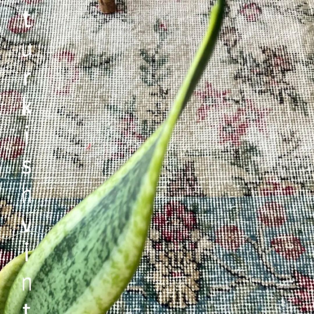 レッドフラワー✳︎57×119 薔薇✳︎ローズ　くすみブルー　トルコヴィンテージラグ