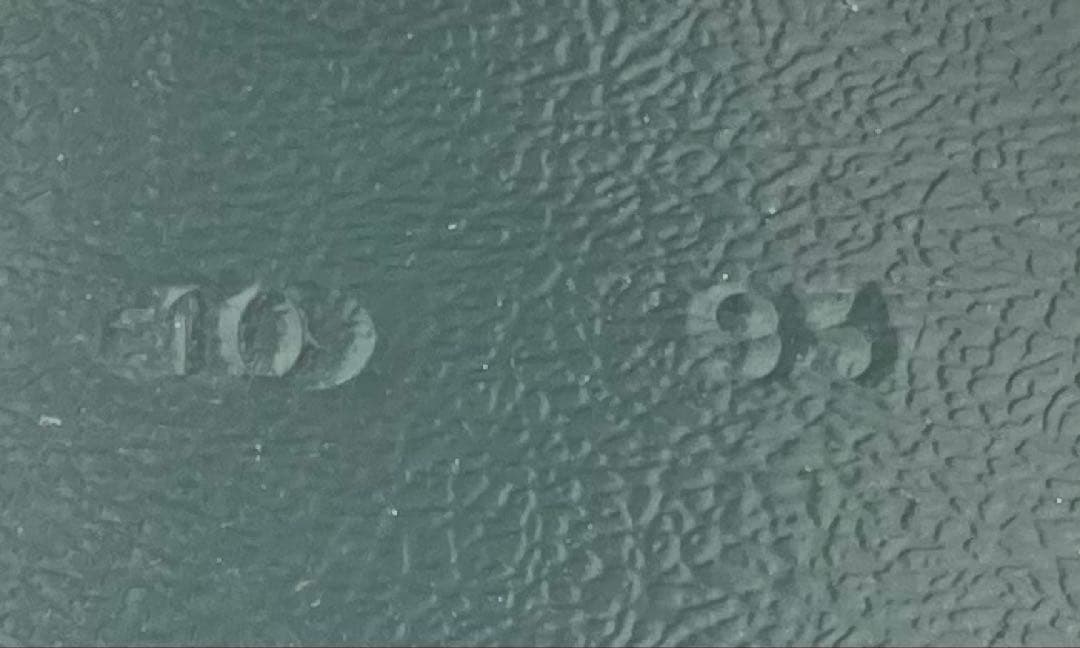 Coleman ツーバーナー　純正スタンドキャリングケース付　実用品