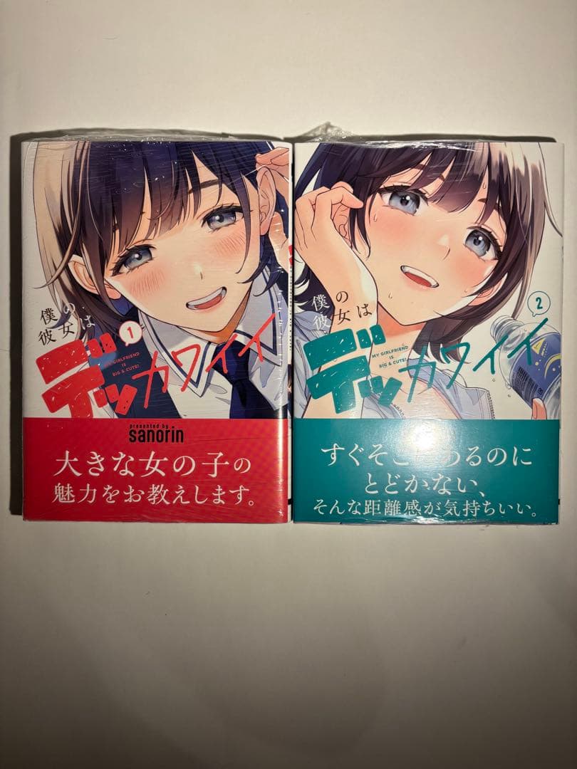 漫画25巻セット