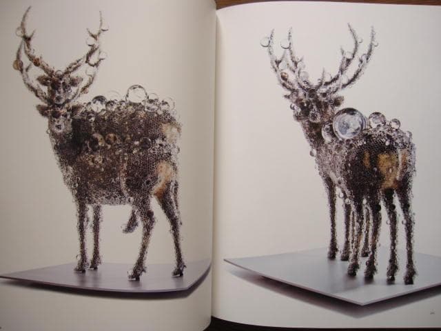 MORPHOSIS　KOHEI NAWA　名和晃平