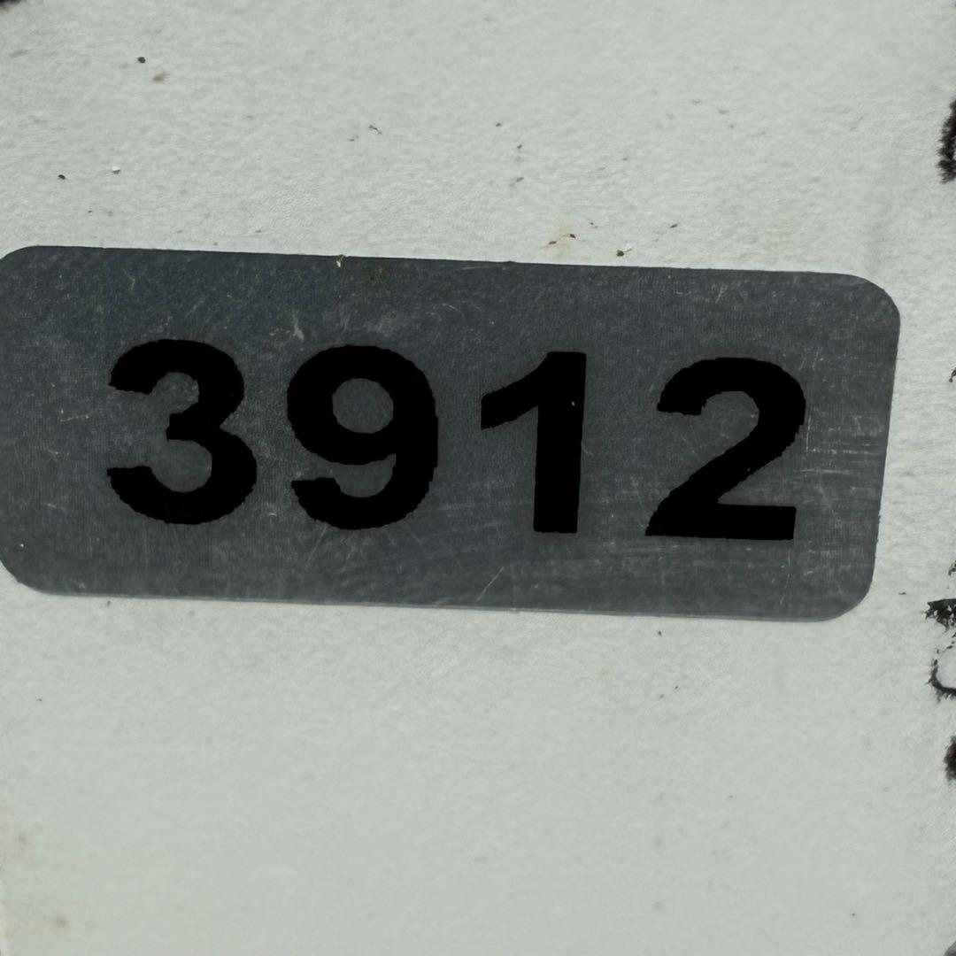 912☘️新芽いっぱい☘️2年間管理☘️限定一株☘️WM直筆タグ付☘️超希少☘️原生地採取☘️