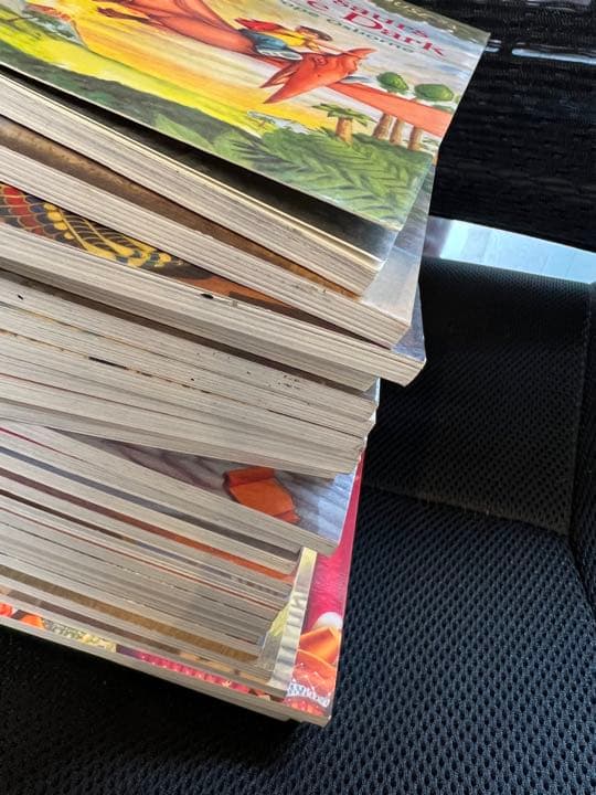 英語洋書　Magic Tree House #1〜28