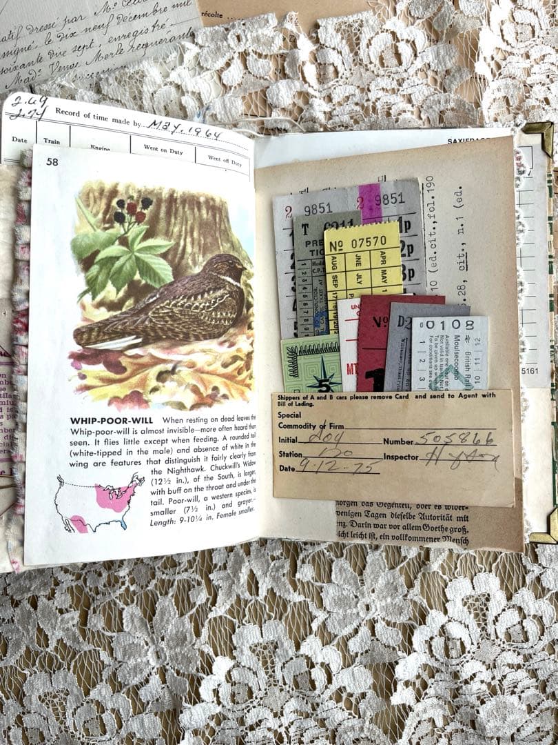 ジャンクジャーナル63 雑記帳