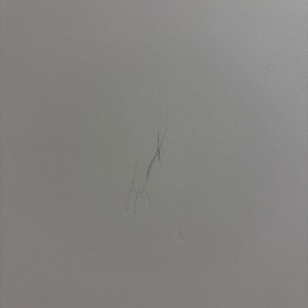 武尊 3階級制覇 直筆サインパネル