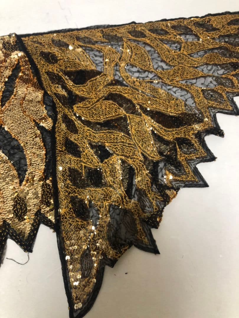 社交ダンスベリーダンスキラキラビジュなど色々セット新品アクセサリー付き