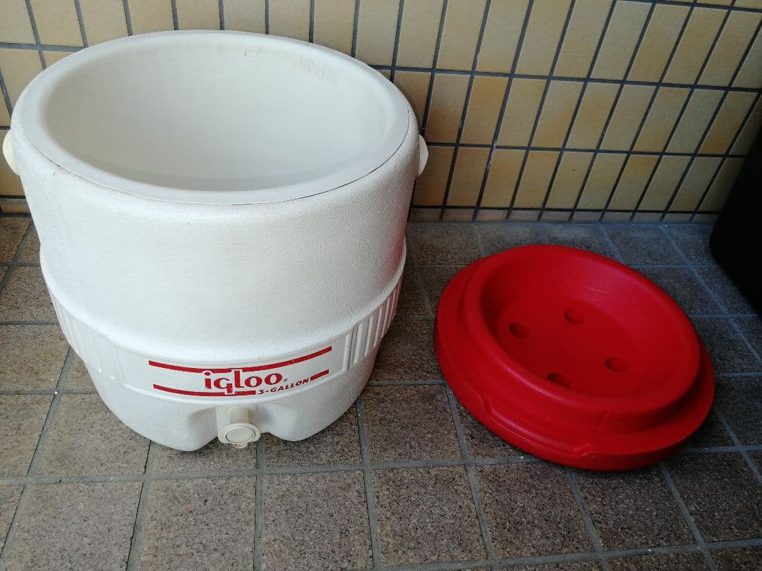 イグルー　ジャグ　ヴィンテージ　 廃盤稀少カラー