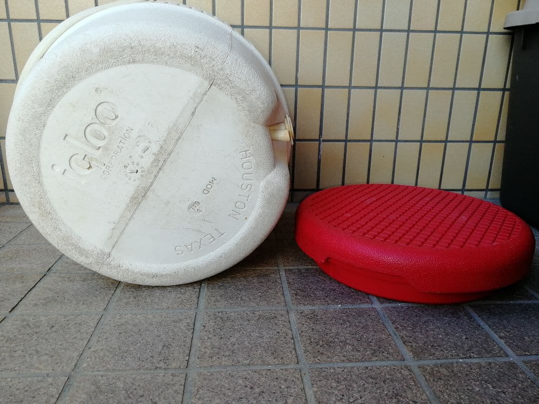 イグルー　ジャグ　ヴィンテージ　 廃盤稀少カラー