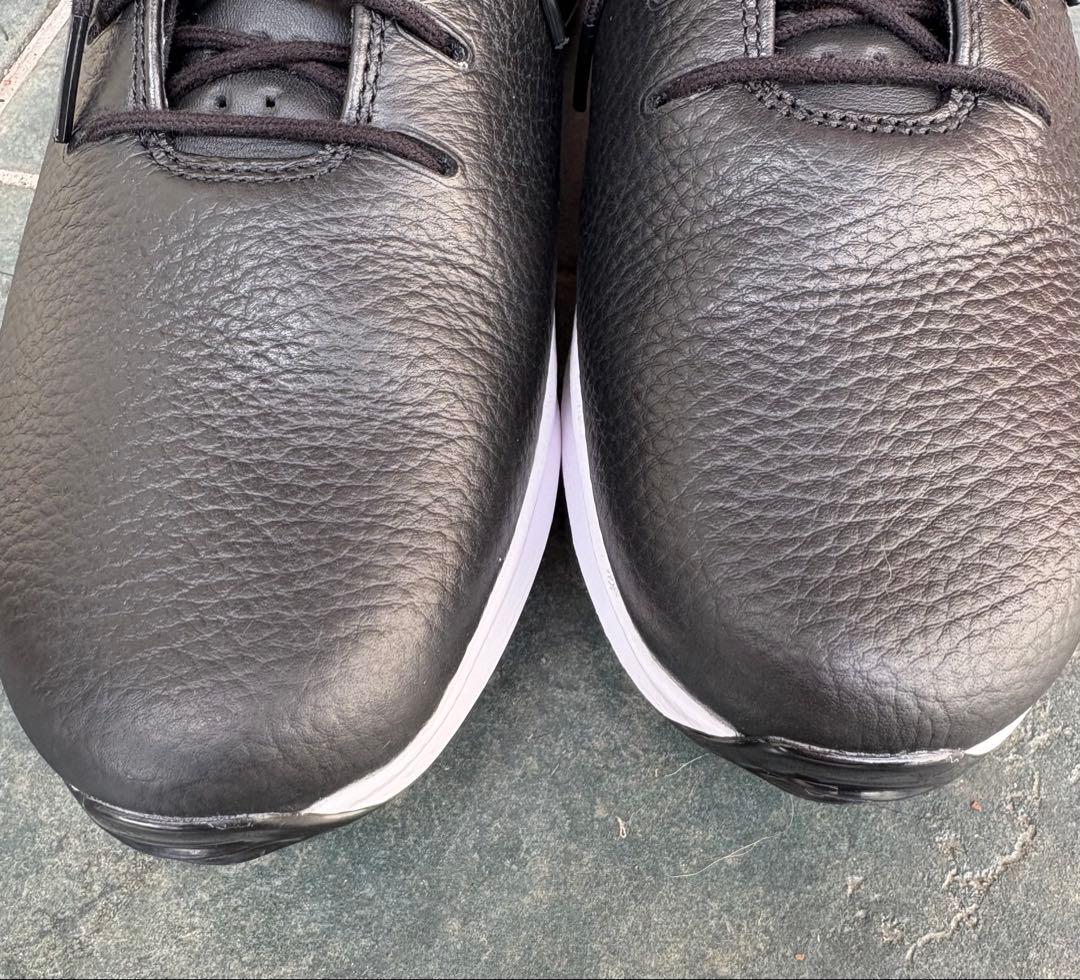 ゴルフシューズ ナイキ NIKE エアズーム ゴルフ メンズ シューズ